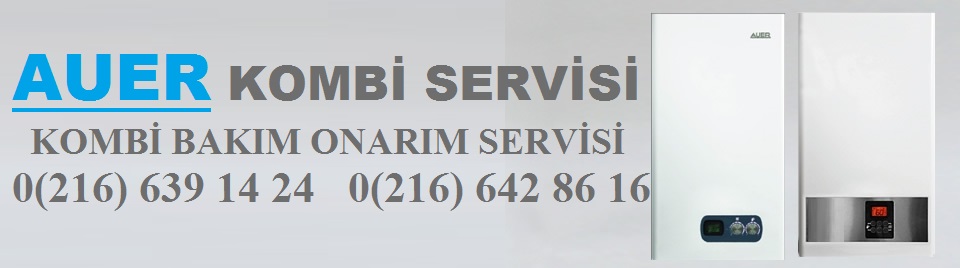 Auer Kombi Servisi